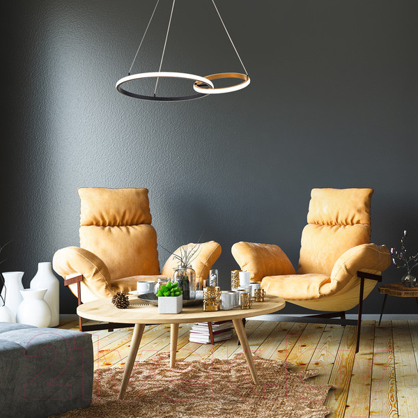 Изображение товара Потолочный светильник ESCADA Relation 10230/2LED (Black/Gold)