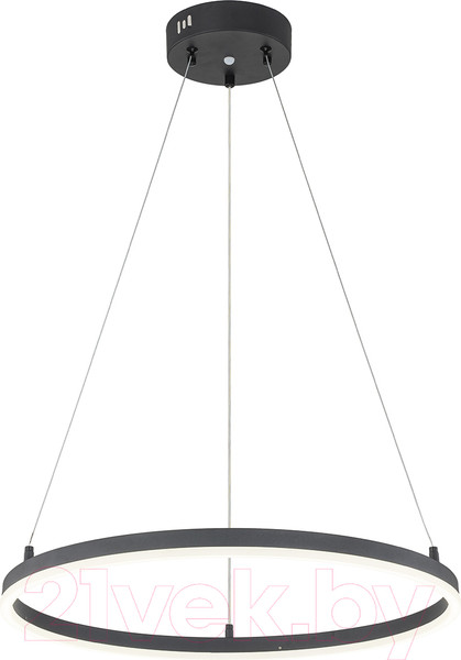 Изображение товара Потолочный светильник ESCADA Void 10254/1LED (Black APP)