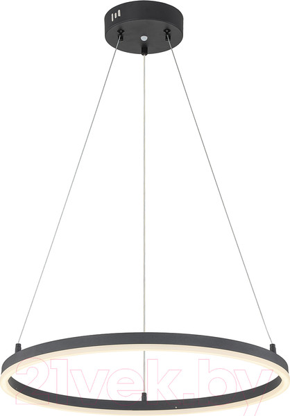 Изображение товара Потолочный светильник ESCADA Void 10254/1LED (Black APP)