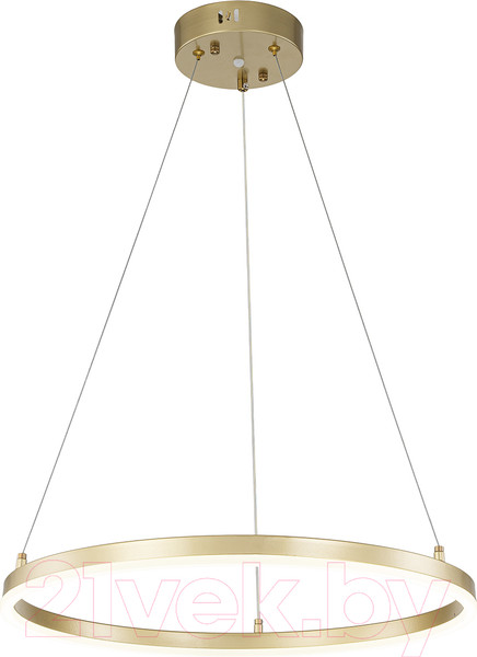 Изображение товара Потолочный светильник ESCADA Void 10254/1LED (Gold APP)