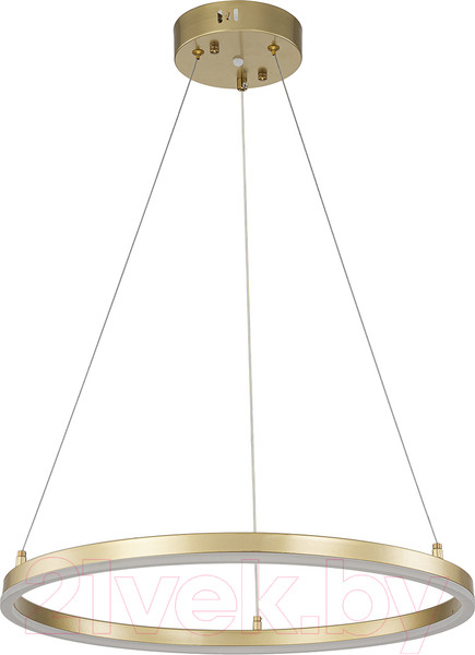 Изображение товара Потолочный светильник ESCADA Void 10254/1LED (Gold APP)