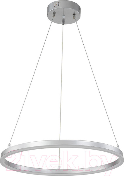 Изображение товара Потолочный светильник ESCADA Void 10254/1LED (Silver APP)