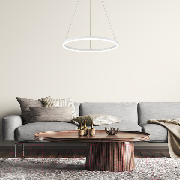 Изображение товара Потолочный светильник ESCADA Void 10254/1LED (White APP)