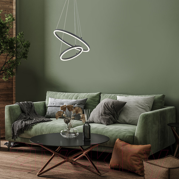 Изображение товара Потолочный светильник ESCADA Void 10254/2LED (Black APP)