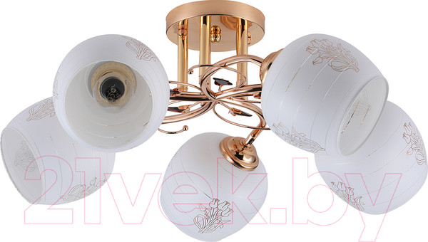 Изображение товара Люстра ESCADA Anemone 1121/5PL