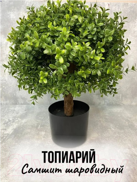 Изображение товара Искусственное растение Merry Bear Home Decor Самшит шаровидный / KM5305