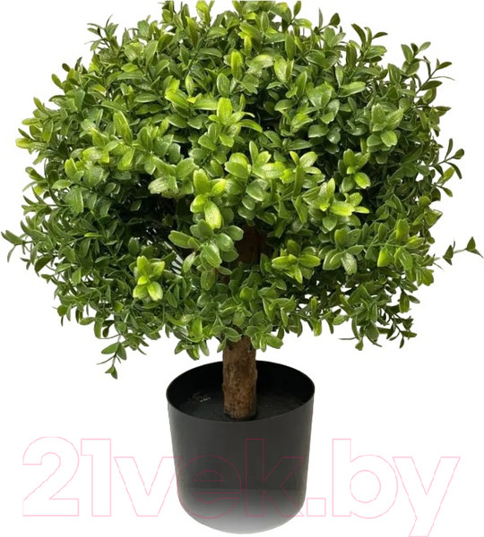 Изображение товара Искусственное растение Merry Bear Home Decor Самшит шаровидный / KM5305