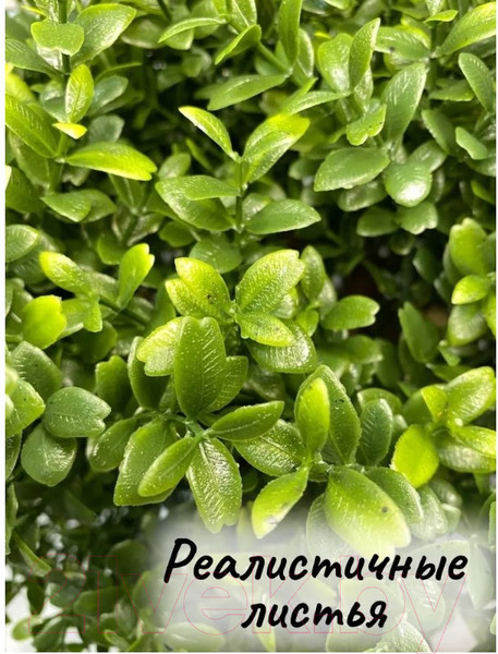 Изображение товара Искусственное растение Merry Bear Home Decor Самшит шаровидный / KM5305