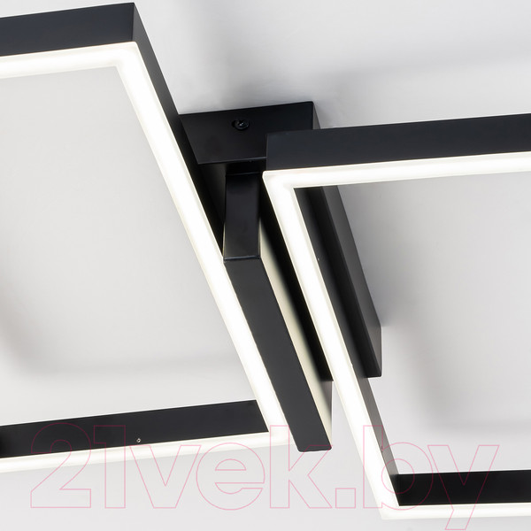 Изображение товара Потолочный светильник ESCADA Scales 10209/2LED (Black)