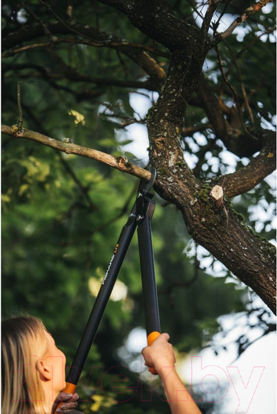 Изображение товара Сучкорез механический Fiskars PowerGear L78 / 1000584