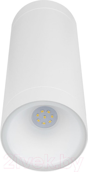 Изображение товара Бра уличное TDM SQ0345-1088