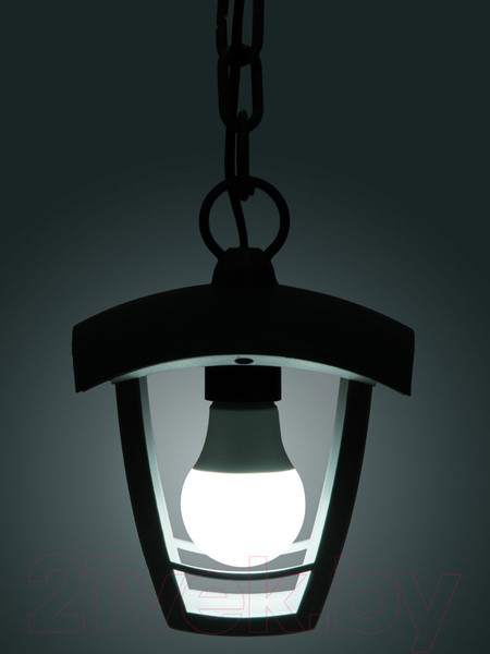 Изображение товара Светильник уличный TDM SQ0330-1322