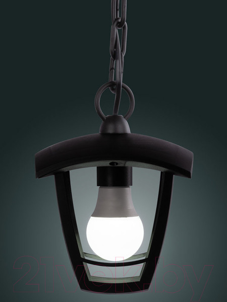 Изображение товара Светильник уличный TDM SQ0330-1303