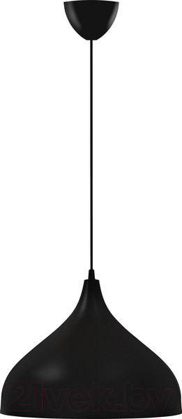 Изображение товара Потолочный светильник TDM SQ0313-0049