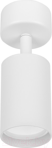 Изображение товара Спот TDM SQ0356-0402