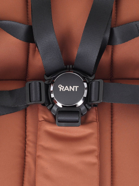 Изображение товара Детская прогулочная коляска Rant Golf / RA101 (Maroon Brown)