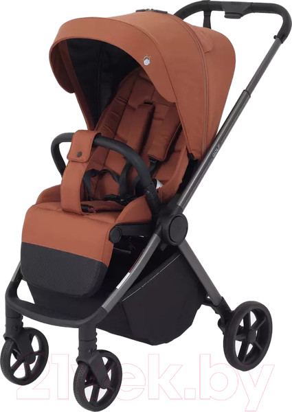 Изображение товара Детская прогулочная коляска Rant Golf / RA101 (Maroon Brown)