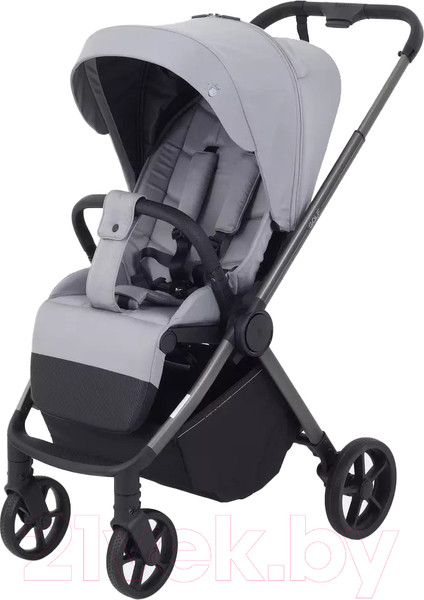 Изображение товара Детская прогулочная коляска Rant Golf / RA101 (Classic Grey)