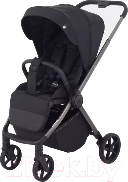 Изображение товара Детская прогулочная коляска Rant Golf / RA101 (Black)