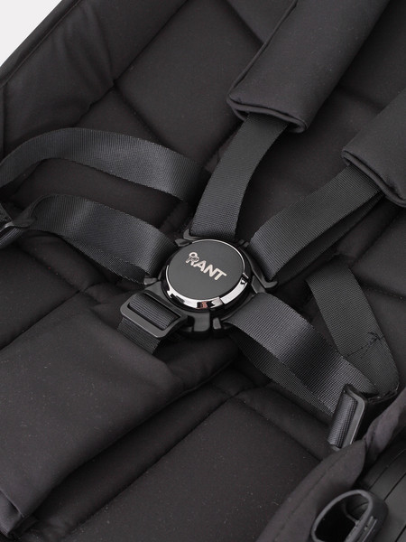 Изображение товара Детская прогулочная коляска Rant Golf / RA101 (Black)