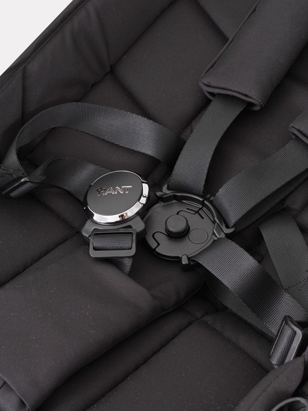 Изображение товара Детская прогулочная коляска Rant Golf / RA101 (Black)