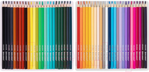 Изображение товара Набор цветных карандашей Brauberg Max / 181860 (50цв)