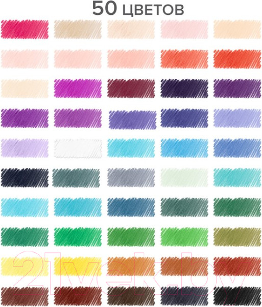 Изображение товара Набор цветных карандашей Brauberg Max / 181860 (50цв)