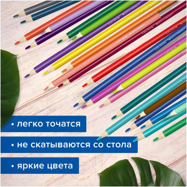 Изображение товара Набор цветных карандашей Brauberg Max / 181860 (50цв)