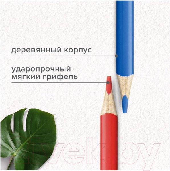 Изображение товара Набор цветных карандашей Brauberg Max / 181860 (50цв)