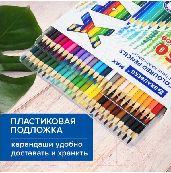 Изображение товара Набор цветных карандашей Brauberg Max / 181860 (50цв)