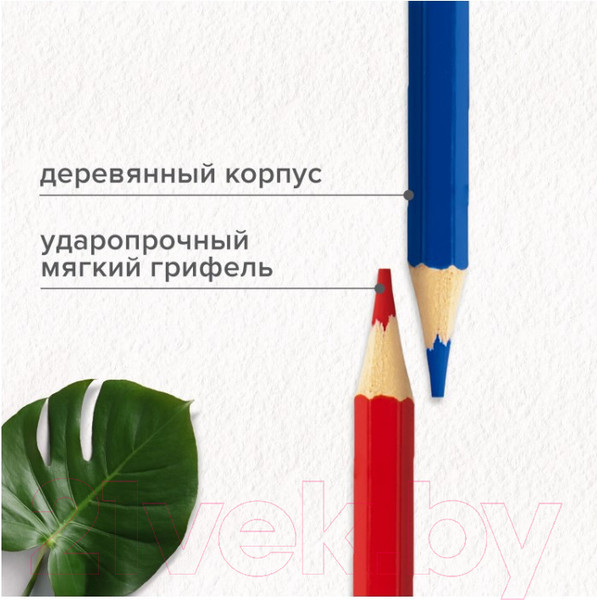 Изображение товара Набор цветных карандашей Brauberg Max / 181861 (72цв)