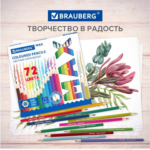 Изображение товара Набор цветных карандашей Brauberg Max / 181861 (72цв)