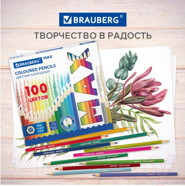 Изображение товара Набор цветных карандашей Brauberg Max / 181862 (100цв)