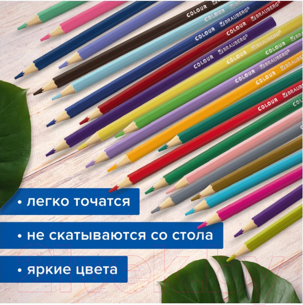 Изображение товара Набор цветных карандашей Brauberg Max / 181862 (100цв)