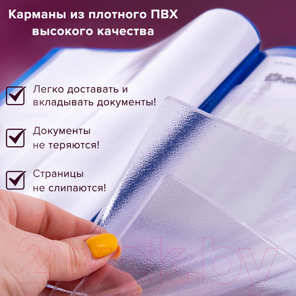 Изображение товара Папка для бумаг Staff Для семейных документов / 237806 (синий)