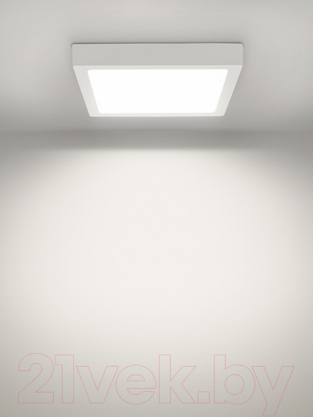 Изображение товара Светильник ЖКХ TDM SQ0329-4207