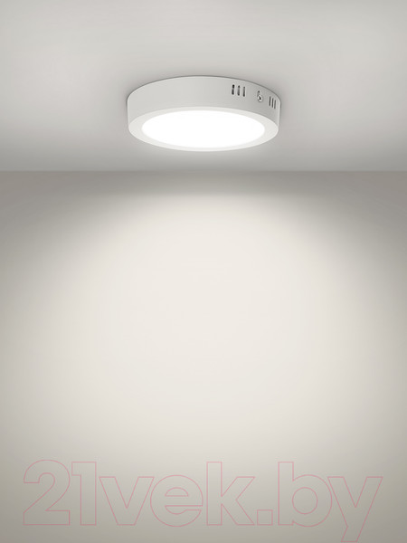 Изображение товара Светильник ЖКХ TDM SQ0329-4216