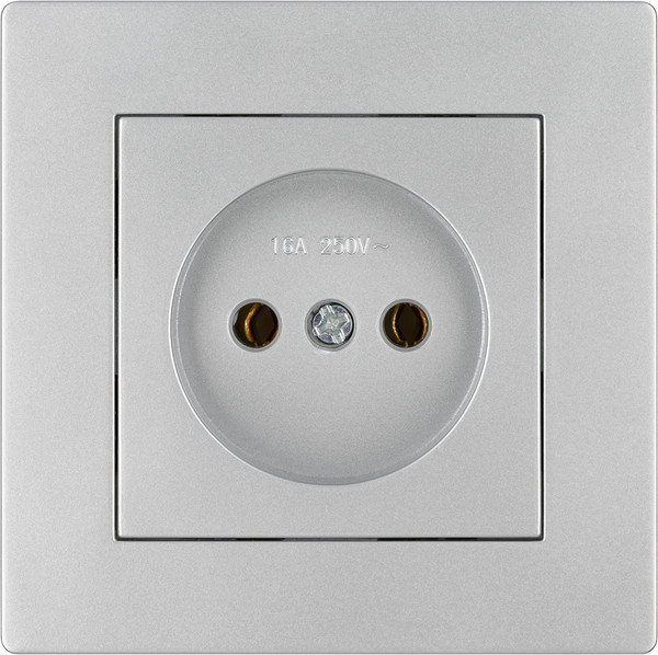 Изображение товара Розетка TDM Сенеж / SQ1816-0230 (серебристый металлик)