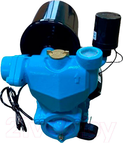 Изображение товара Поверхностный насос GreenPump WZ 370 комплектный