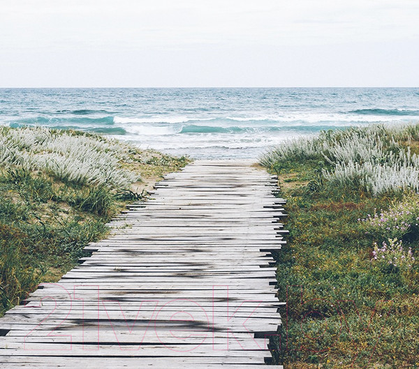 Изображение товара Духи Dilis Parfum Niche Collection Salty Wood (50мл)