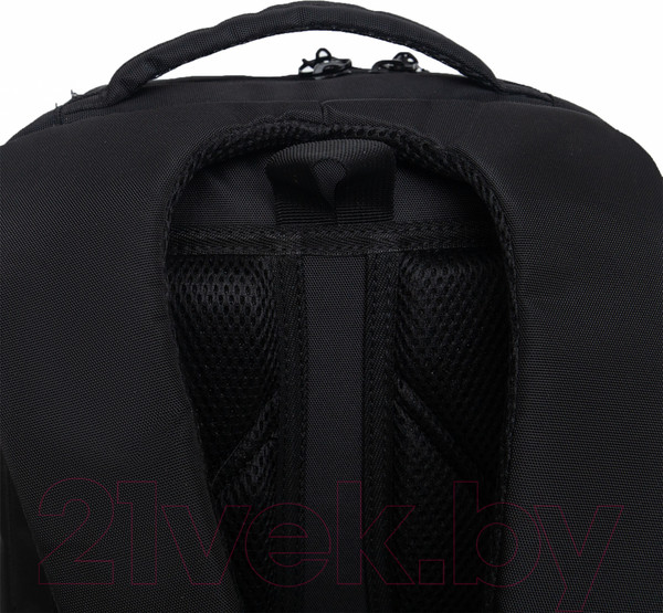 Изображение товара Школьный рюкзак Grizzly RB-456-6 (черный/голубой)