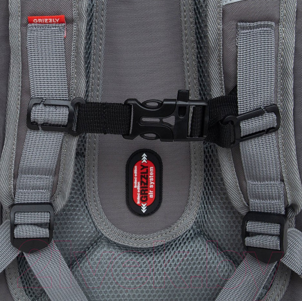 Изображение товара Школьный рюкзак Grizzly RAf-493-2 (серый)