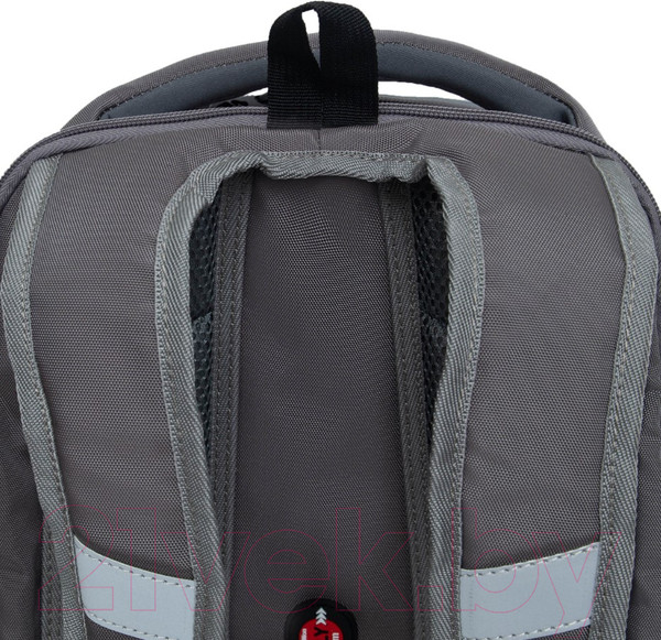 Изображение товара Школьный рюкзак Grizzly RAf-493-2 (серый)