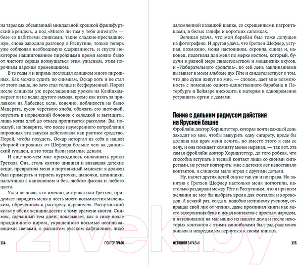 Изображение товара Книга Альпина Жестяной барабан / 9785002230723 (Грасс Г.)