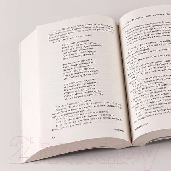 Изображение товара Книга Альпина Жестяной барабан / 9785002230723 (Грасс Г.)