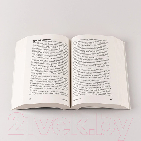 Изображение товара Книга Альпина Жестяной барабан / 9785002230723 (Грасс Г.)