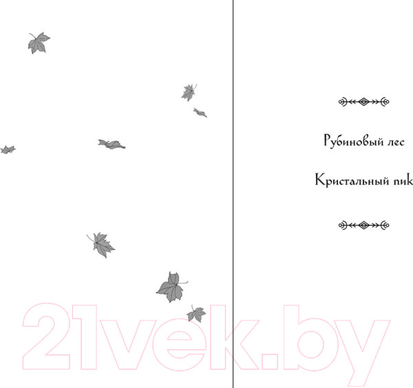Изображение товара Книга Черным-бело Кристальный пик / 9785041908126 (Гор А.)