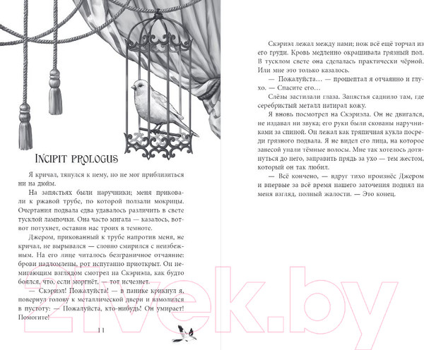 Изображение товара Книга Черным-бело Песнь Сорокопута / 9785041870416 (Кель Ф.)