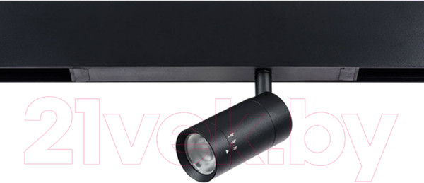 Изображение товара Трековый светильник Lightstar Teta 205017R