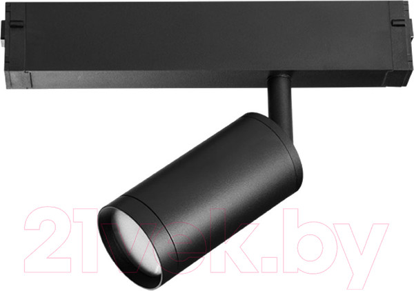 Изображение товара Трековый светильник Lightstar Teta 205027R